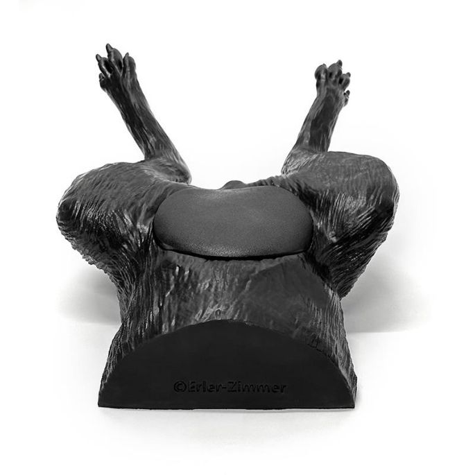 Echografie trainer hondenblaas