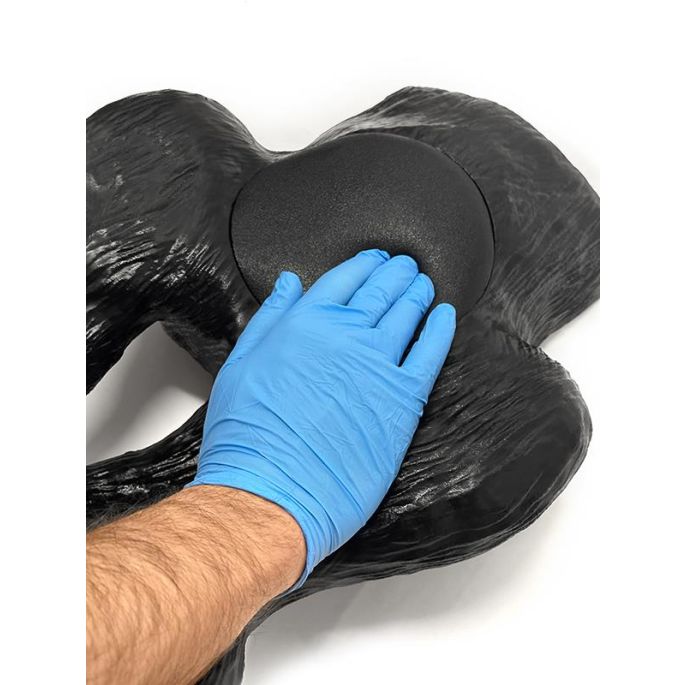 Echografie trainer hondenblaas