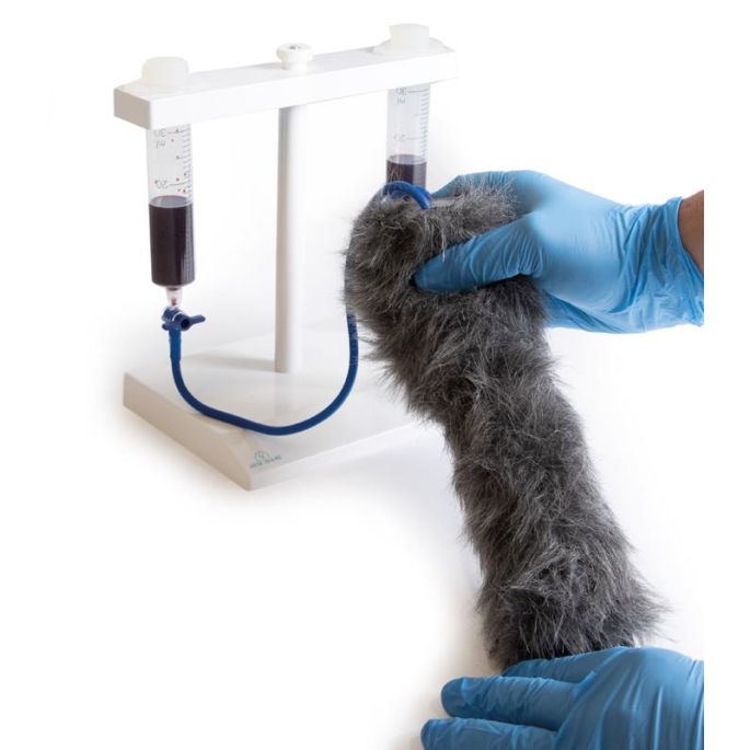 IV. Injectiebeenhond