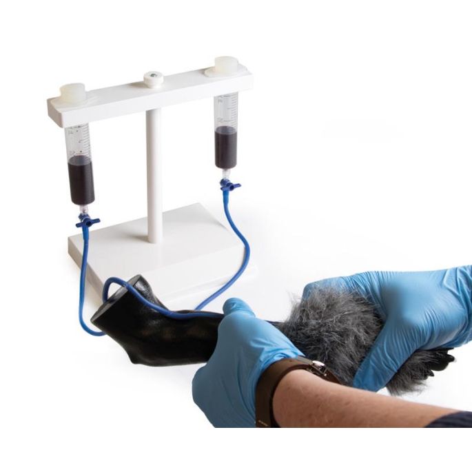 IV. Injectiebeenhond