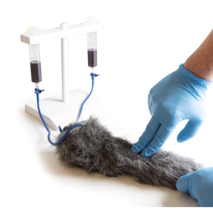 IV. Injectiebeenhond