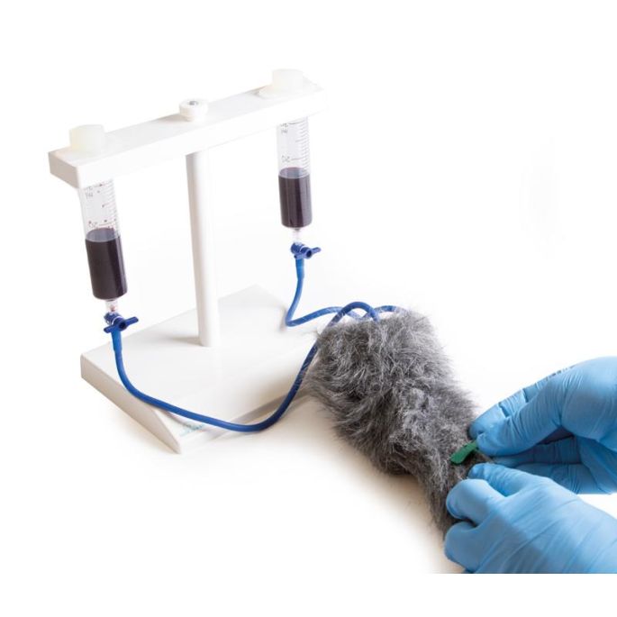 IV. Injectiebeenhond
