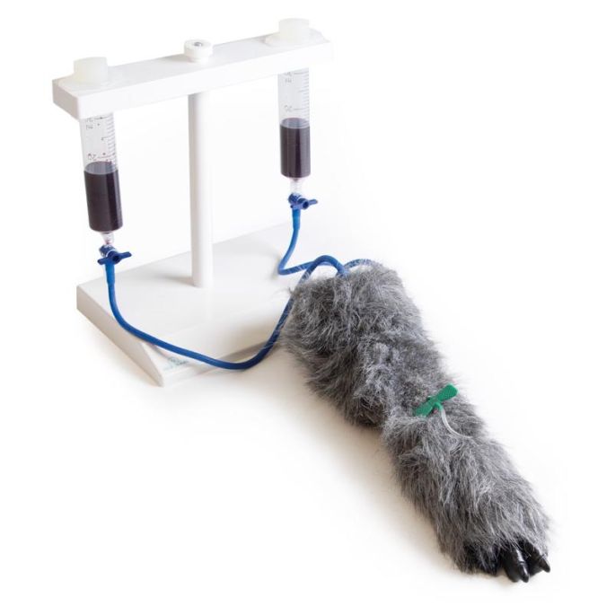 IV. Injectiebeenhond
