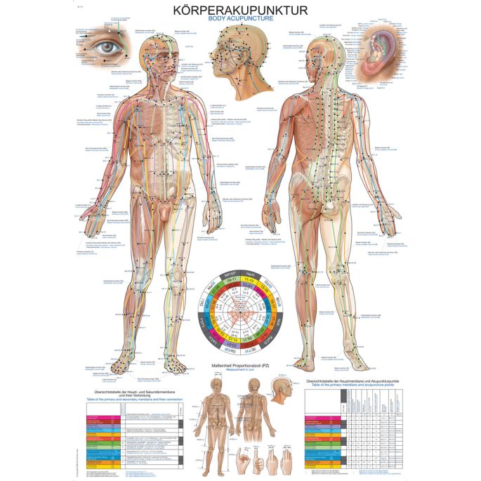 Acupunctuurposter