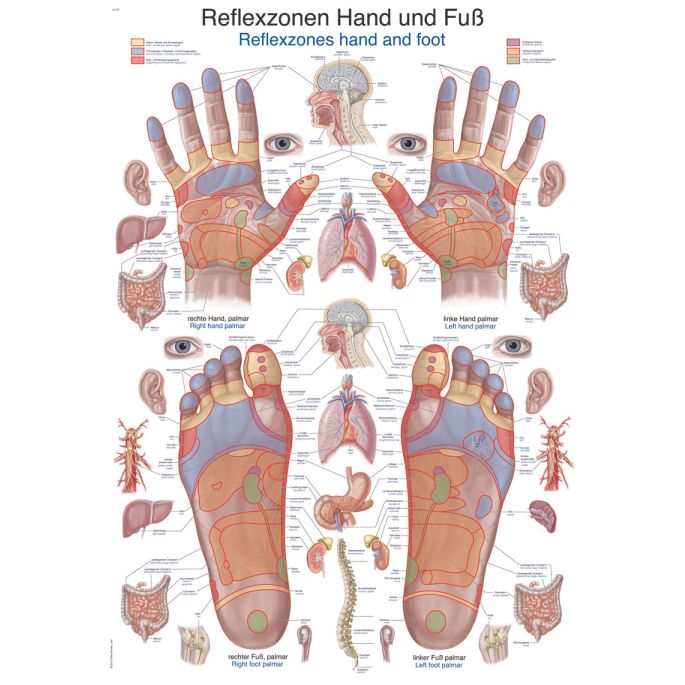 Reflexzones poster
