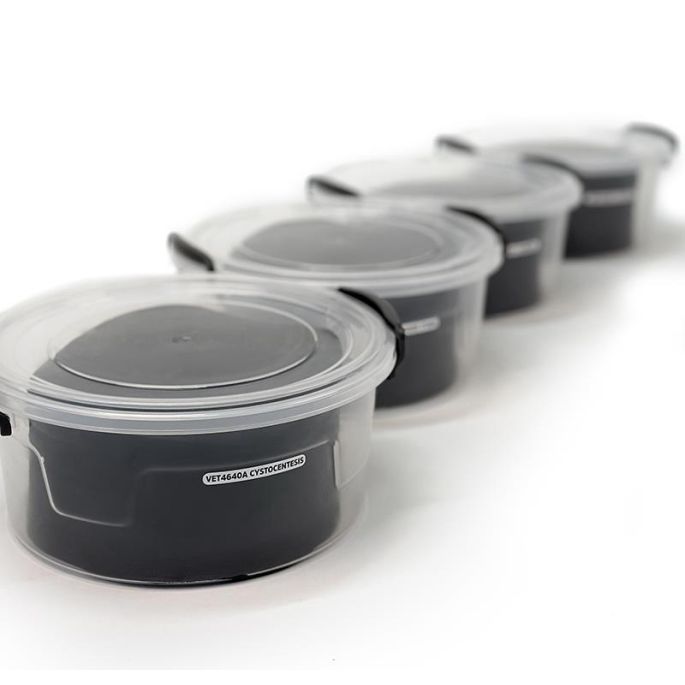 Echografie trainer hondenblaas - afbeelding 15
