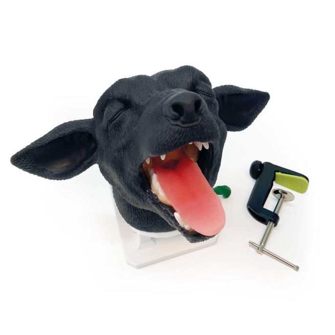 Intubatiehoofd voor honden - afbeelding 8