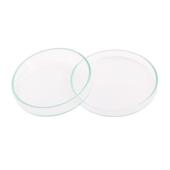 Glazen petri-schaal 10 cm hittebestendig set