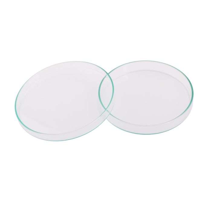 Glazen petri-schaal 15 cm hittebestendig set