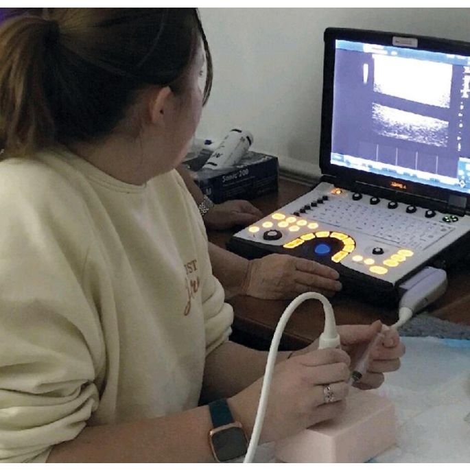 SonoEZ echografietrainer 'Injectie' - afbeelding 7
