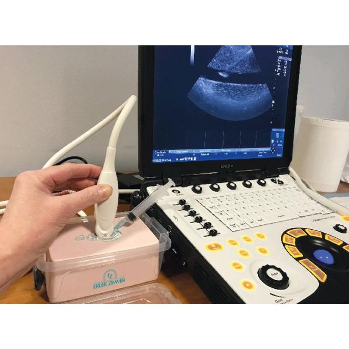 SonoEZ echografietrainer 'Injectie' - afbeelding 9