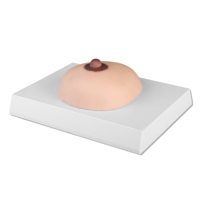 Palpatiemodel voor borstkanker