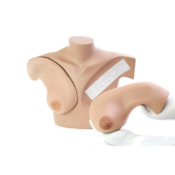 Borstpalpatiesimulator voor klinisch onderwijs - afbeelding 2
