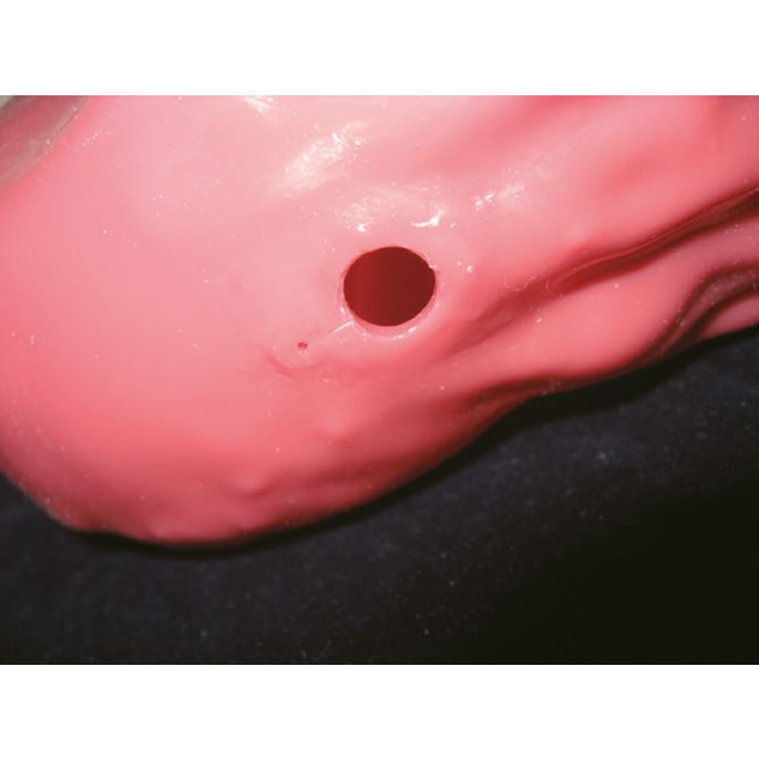 EGD-simulator (EsophagoGastroDuodenoscopie). - afbeelding 5