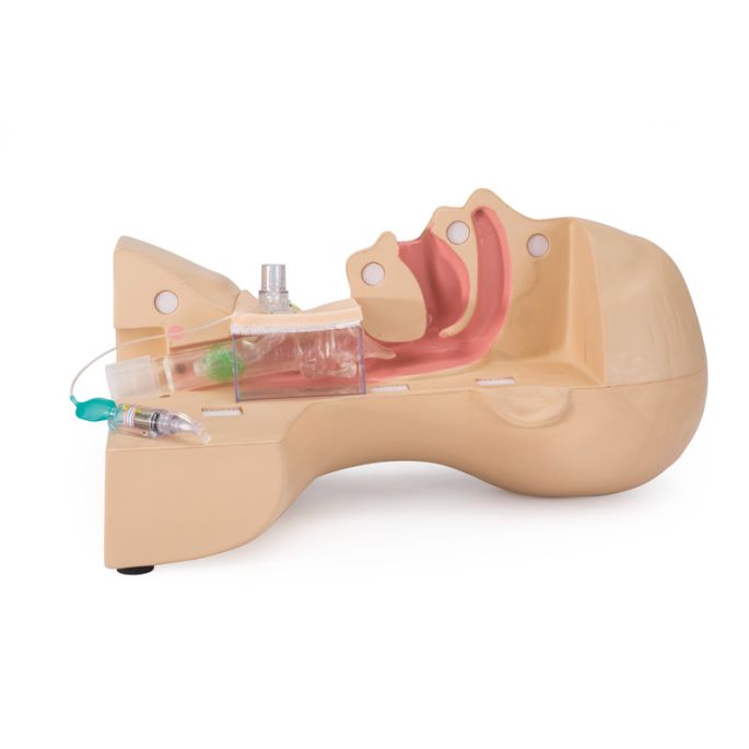 Simulator voor tracheostomiebeheer