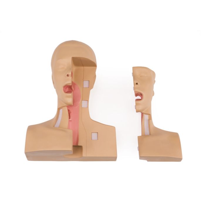 Simulator voor tracheostomiebeheer - afbeelding 2