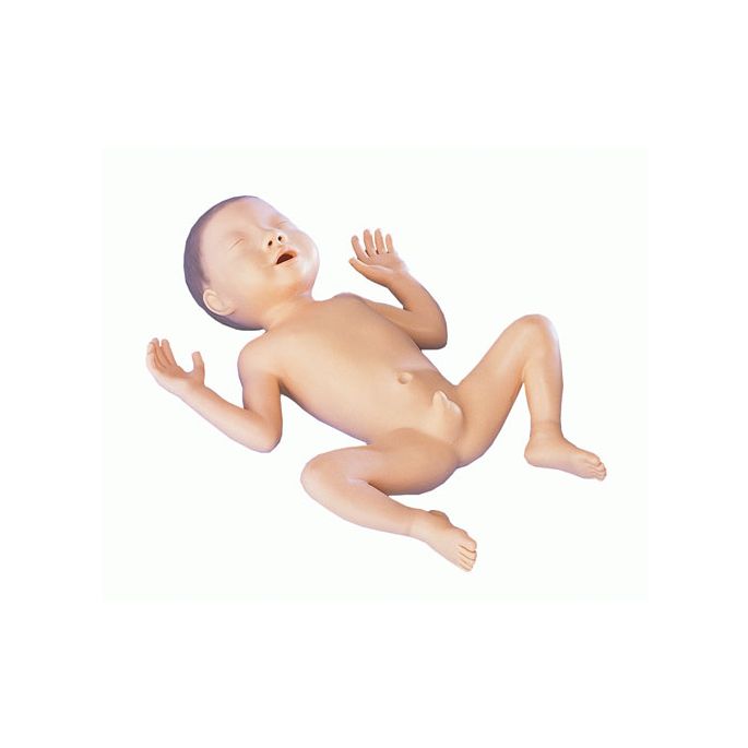 Model voor premature baby's