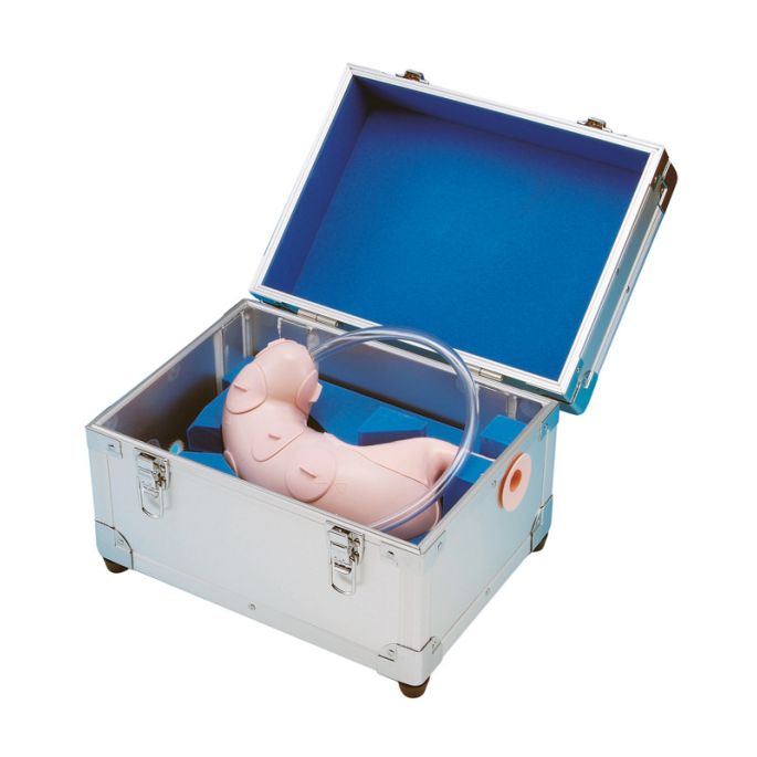 Endoscopisch submucosale dissectie trainingsmodel