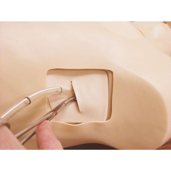 Trainer voor thoraxtrauma's - afbeelding 5