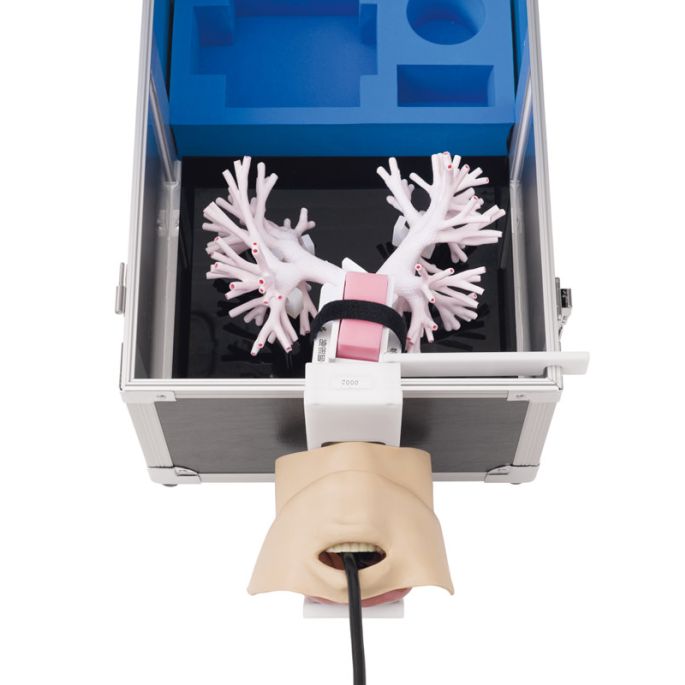 Ultrasone bronchoscopiesimulator