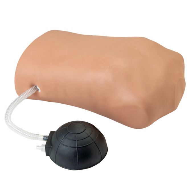Pneumothorax Oefenpop - afbeelding 2