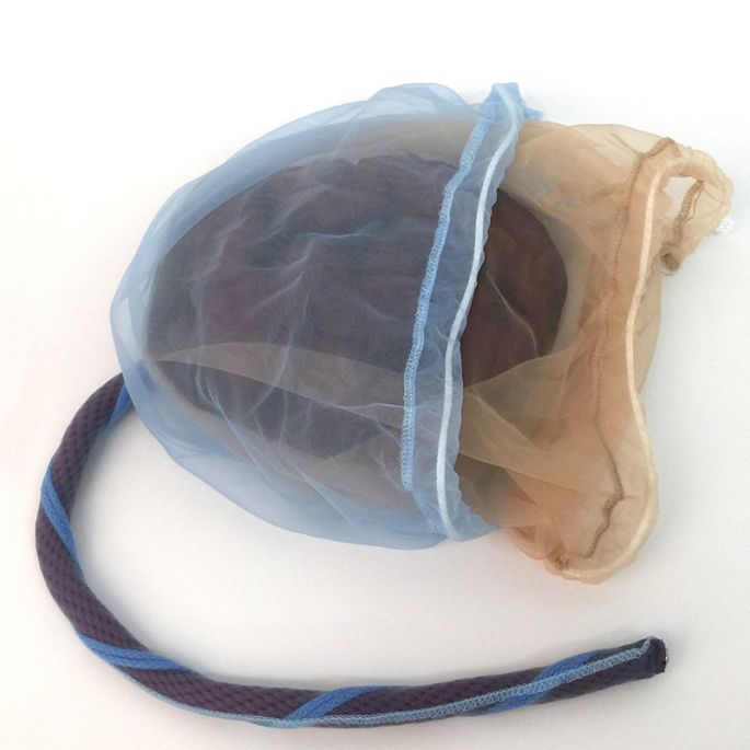 Model van placenta en navelstreng - afbeelding 2