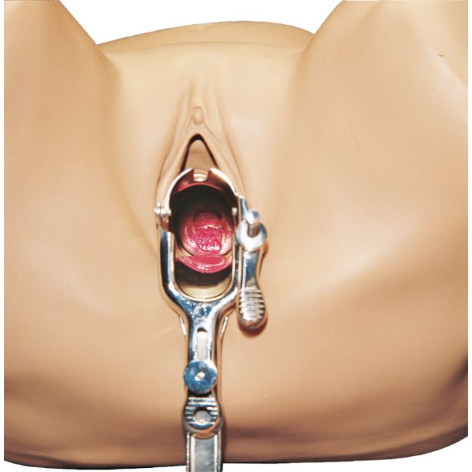 GYN/AID Gynaecologische simulator - afbeelding 3