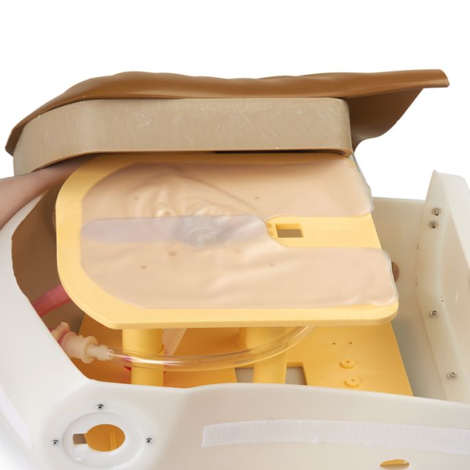 Airway Larry Trainer Torso voor luchtwegbeheer volwassenen - afbeelding 5