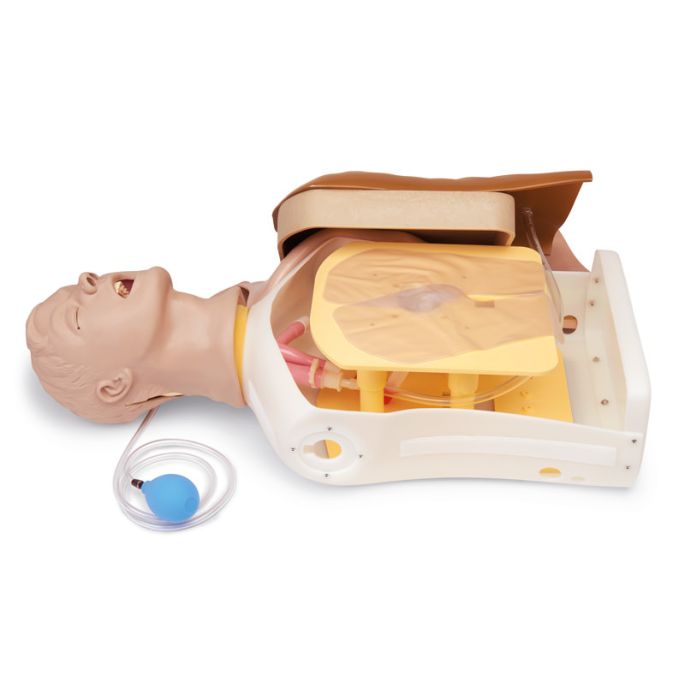 Geavanceerde 'Airway Larry' Airway Management Trainer Torso - afbeelding 5
