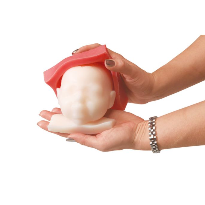 Modelset voor foetale monitoring en bevallingsvoortgang - afbeelding 2