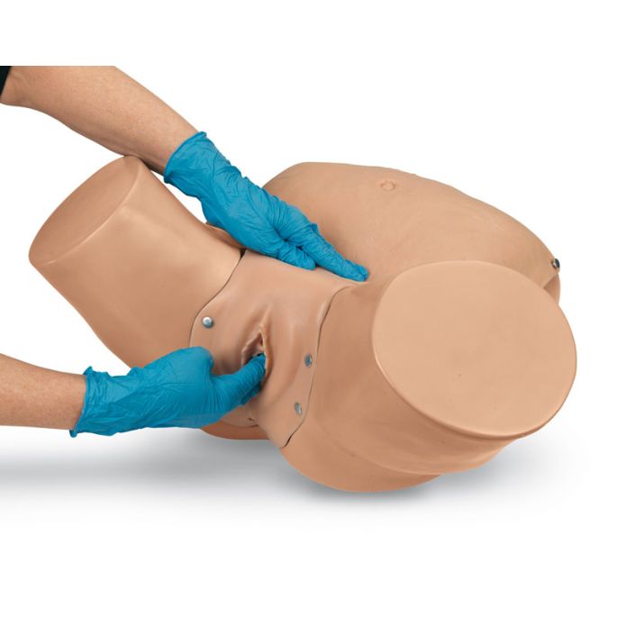 Geavanceerd bekkenonderzoek en gynaecologische simulator - afbeelding 2
