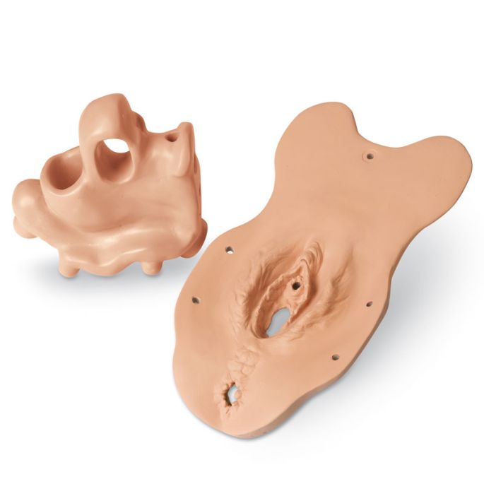 Onderzoeksmodule menopauze