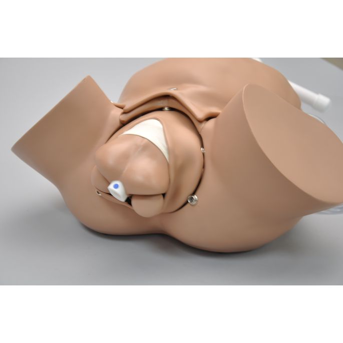 OB Susie geavanceerde bevallingssimulator (torso)