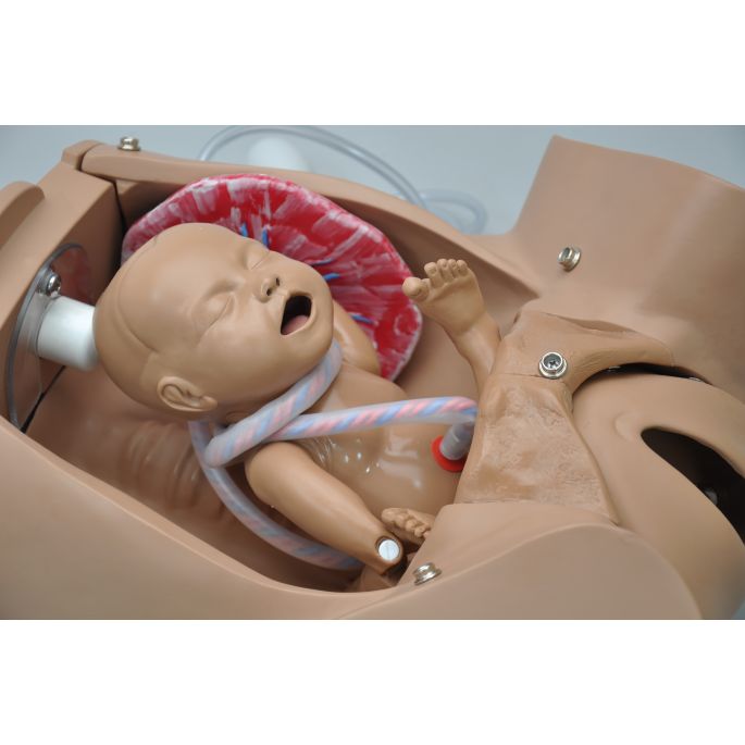 OB Susie geavanceerde bevallingssimulator (torso)