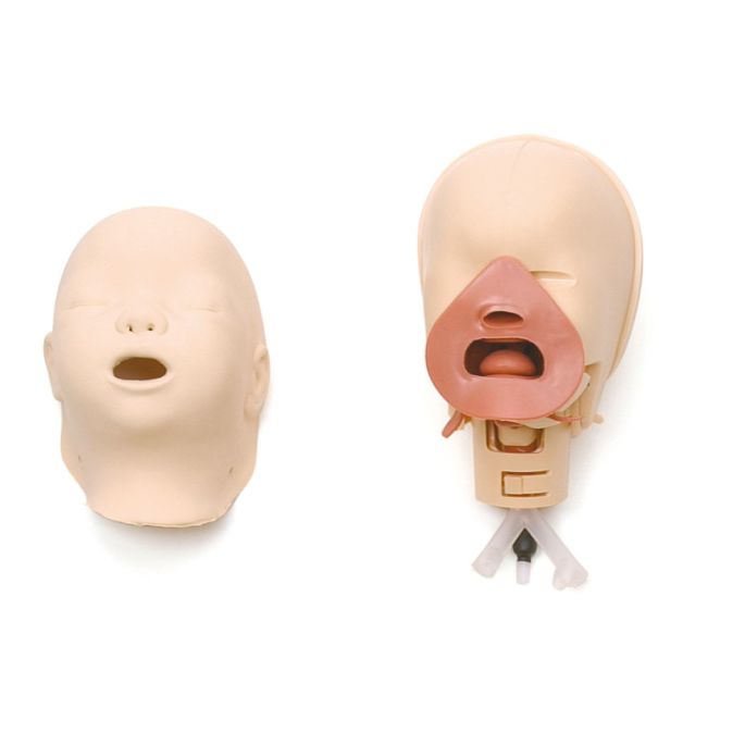 Neonatale intubatietrainer - afbeelding 2