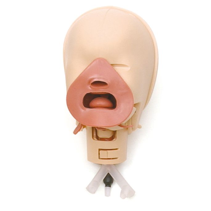 Neonatale intubatietrainer - afbeelding 3