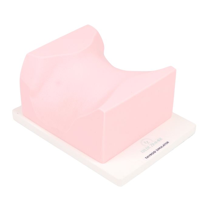 SonoEZ echografietrainer 'Schildklier'
