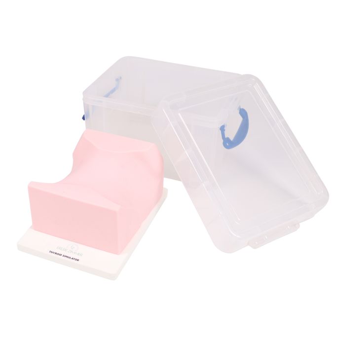 SonoEZ echografietrainer 'Schildklier' - afbeelding 2