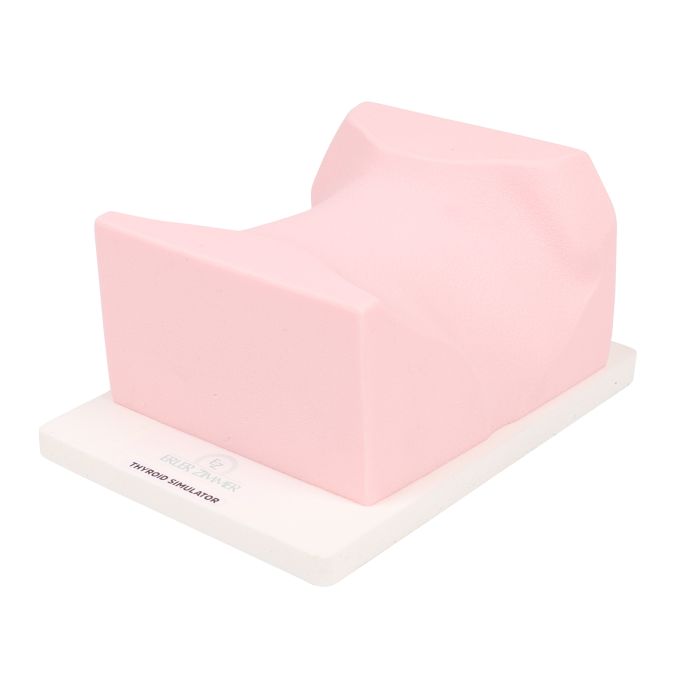 SonoEZ echografietrainer 'Schildklier' - afbeelding 5