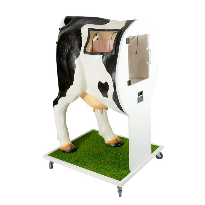Geavanceerde simulator voor kunstmatige inseminatie (AI) koe - afbeelding 5