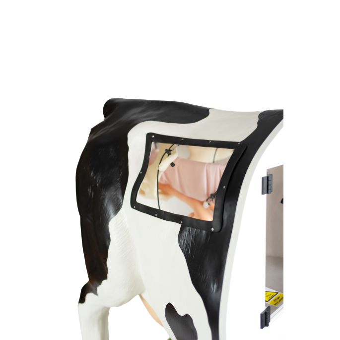 Geavanceerde simulator voor kunstmatige inseminatie (AI) koe - afbeelding 6
