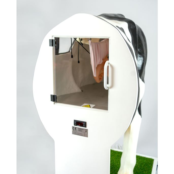 Geavanceerde simulator voor kunstmatige inseminatie (AI) koe - afbeelding 7