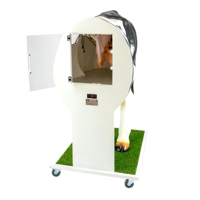 Geavanceerde simulator voor kunstmatige inseminatie (AI) koe - afbeelding 8