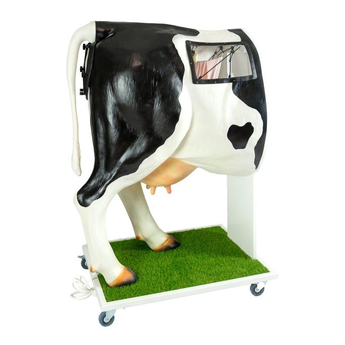 Geavanceerde simulator voor kunstmatige inseminatie (AI) koe - afbeelding 9