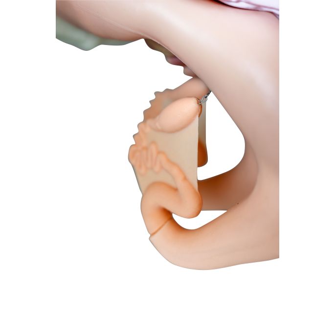 Geavanceerde simulator voor kunstmatige inseminatie (AI) koe - afbeelding 11