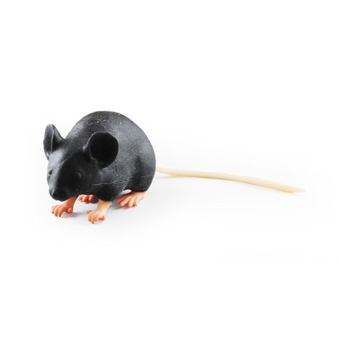 Mimicky muis