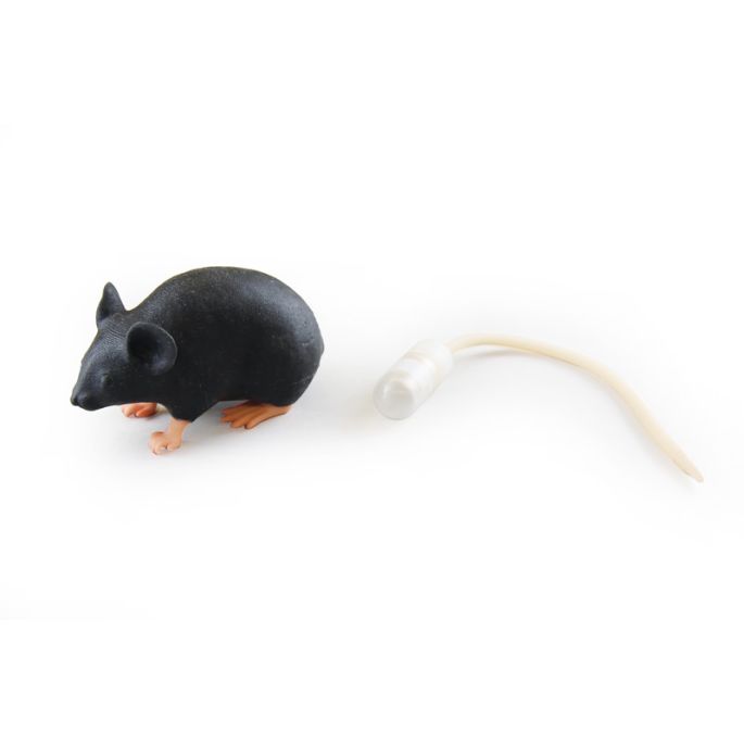 Mimicky muis - afbeelding 3