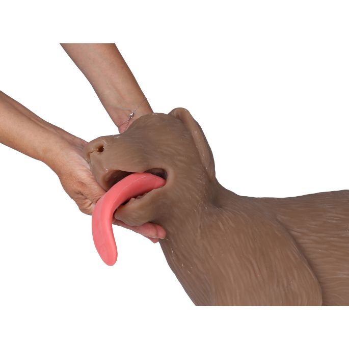 Reanimatiepop voor honden 'CooPeR' - afbeelding 2