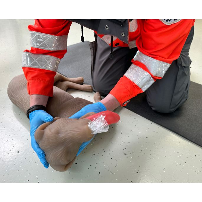 Reanimatiepop voor honden 'CooPeR' - afbeelding 3