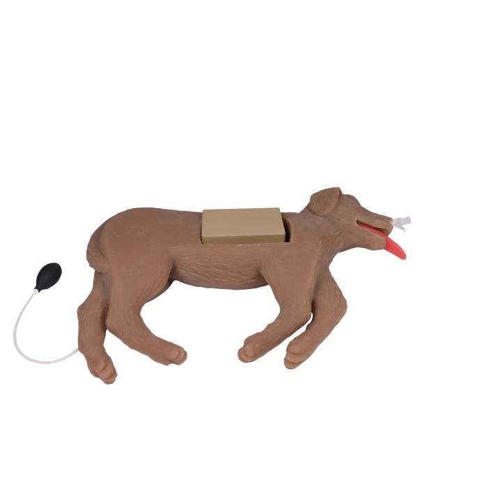 Reanimatiepop voor honden 'CooPeR' - afbeelding 5